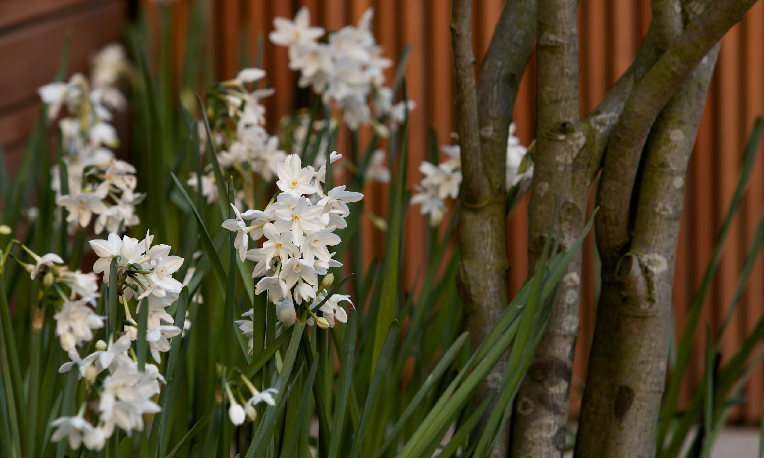 Maximum rewards, Redcliffe road Stefano Marinaz Landscape